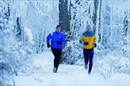 پاورپوینت تأثیر محیط سرد بر فعالیت های ورزشی